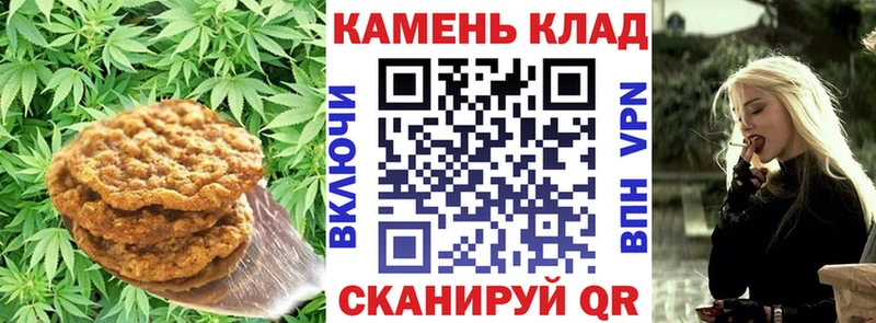 где можно купить наркотик  Сенгилей  shop какой сайт  Canna-Cookies конопля 