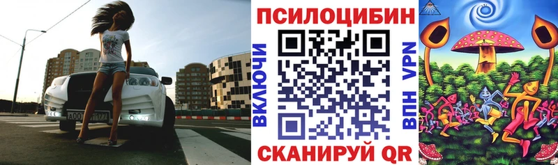 хочу наркоту  Сенгилей  Псилоцибиновые грибы Psilocybe 